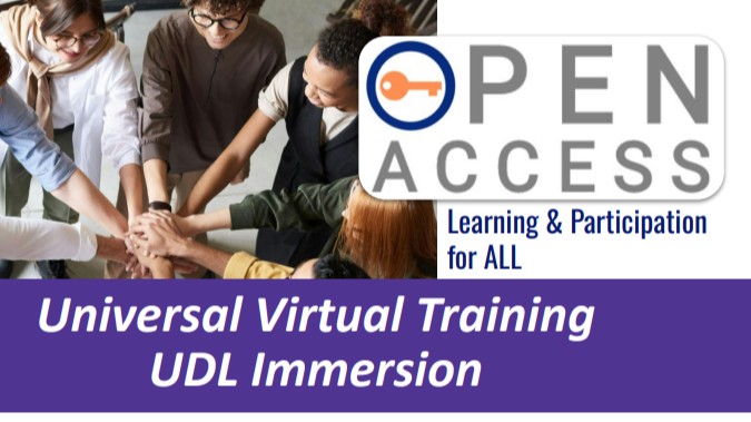 UDL Immersion flyer